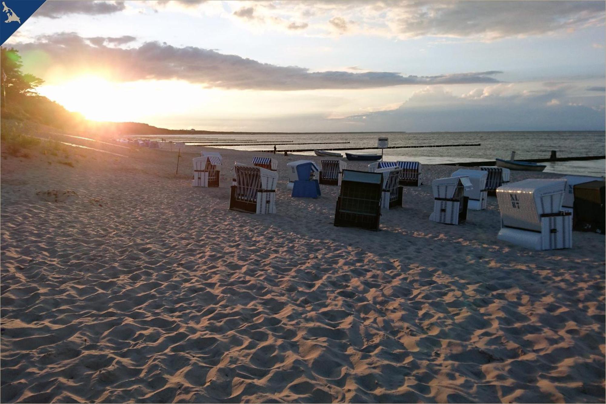 Nur 100M Zum Strand Fewo Seebrise 109 By Pro Home Appartements Zempin Eksteriør billede