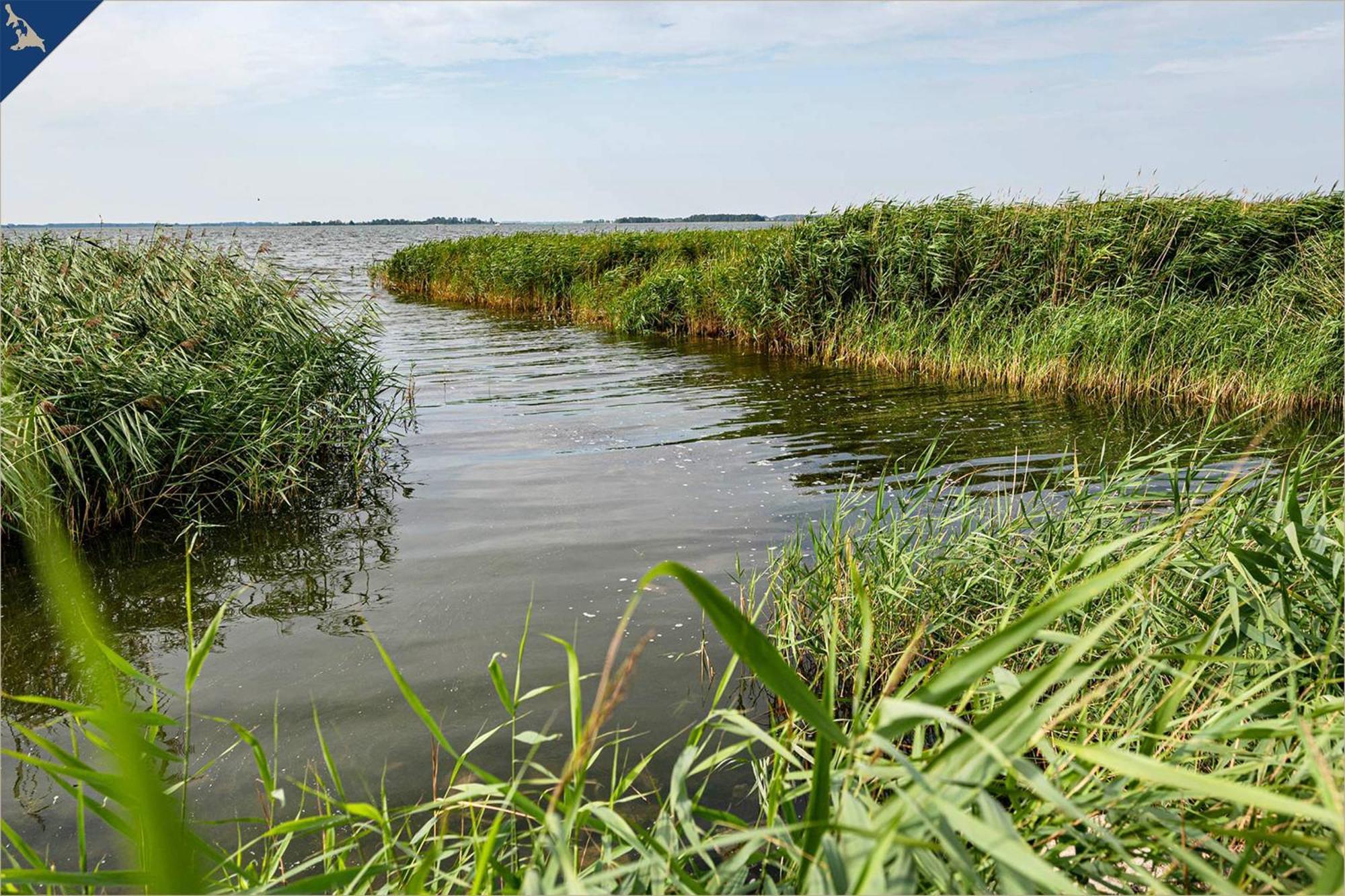 Nur 100M Zum Strand Fewo Seebrise 109 By Pro Home Appartements Zempin Eksteriør billede